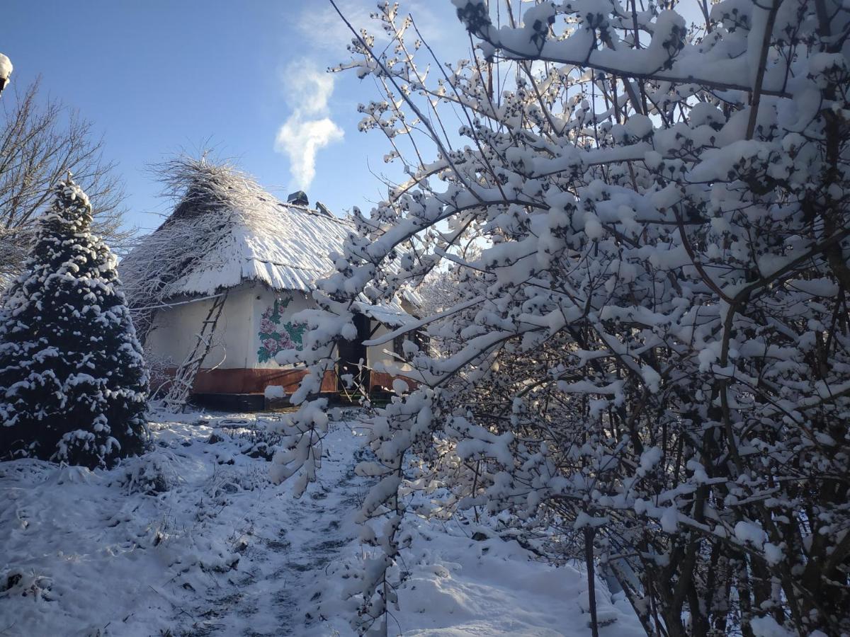 Koryakivskyi Rai Casa de hóspedes Dmitrenki Exterior foto