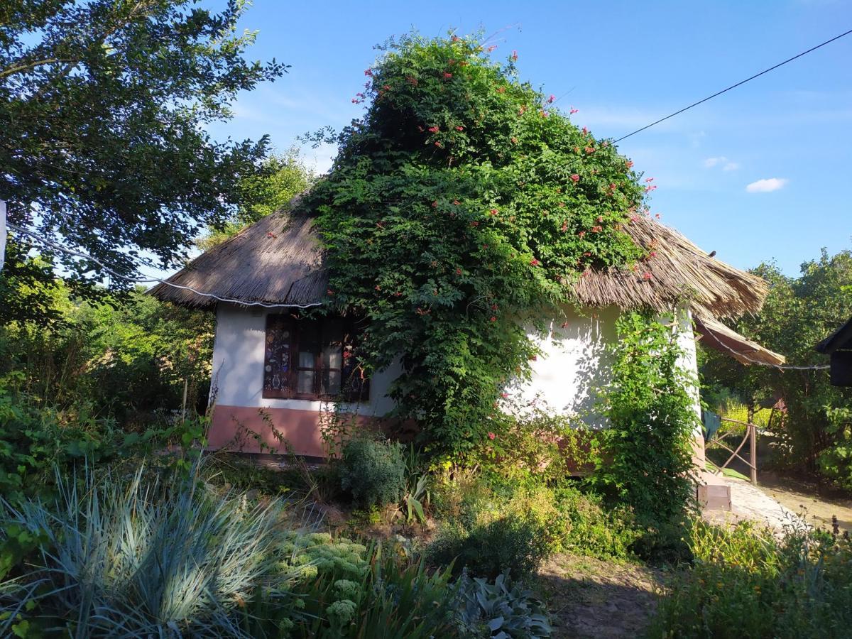 Koryakivskyi Rai Casa de hóspedes Dmitrenki Exterior foto