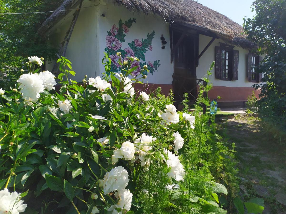 Koryakivskyi Rai Casa de hóspedes Dmitrenki Exterior foto