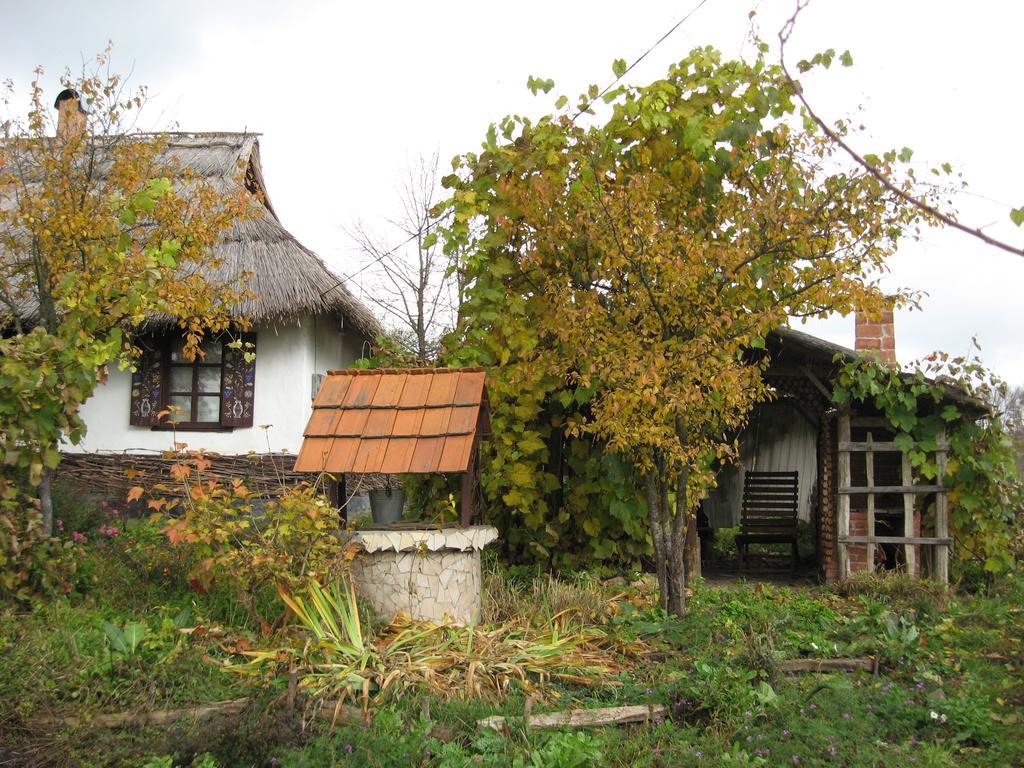 Koryakivskyi Rai Casa de hóspedes Dmitrenki Exterior foto