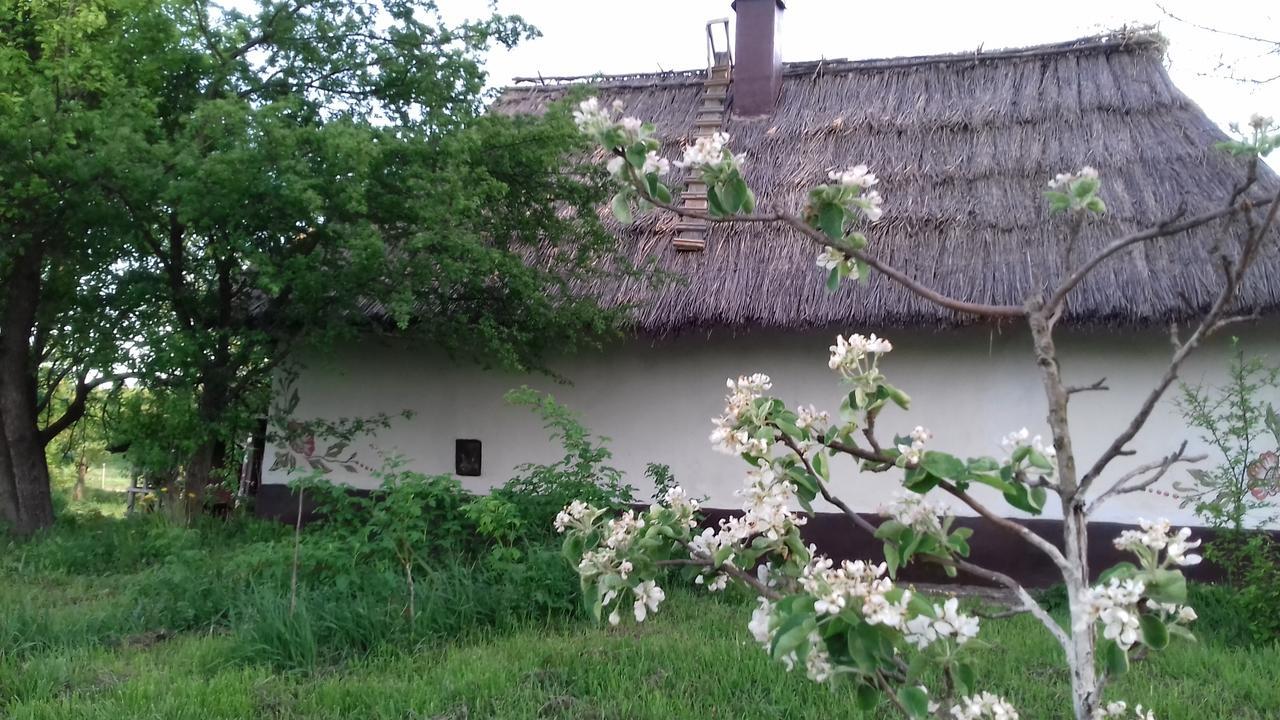 Koryakivskyi Rai Casa de hóspedes Dmitrenki Exterior foto