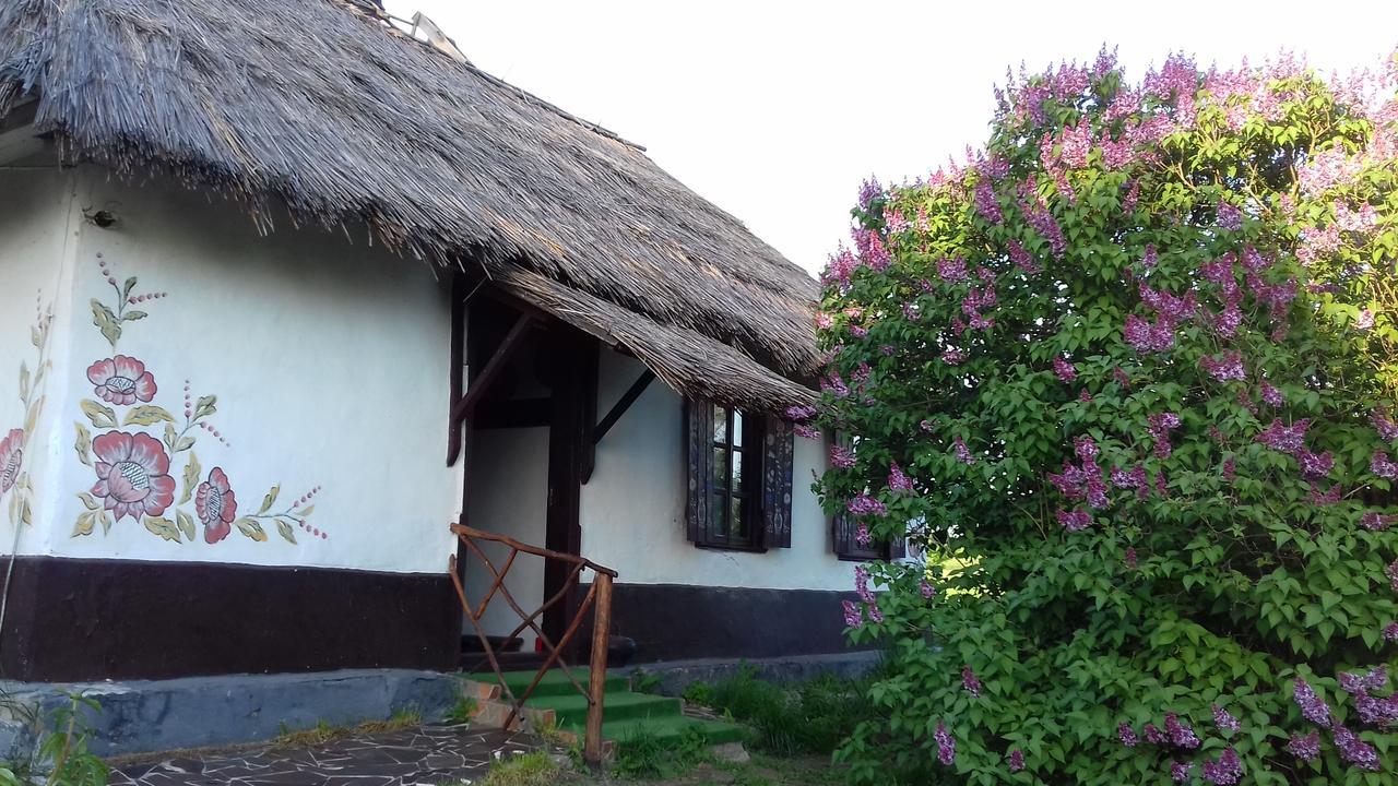 Koryakivskyi Rai Casa de hóspedes Dmitrenki Exterior foto