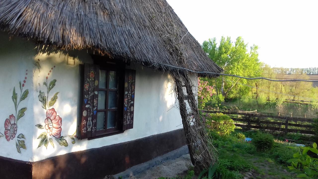 Koryakivskyi Rai Casa de hóspedes Dmitrenki Exterior foto
