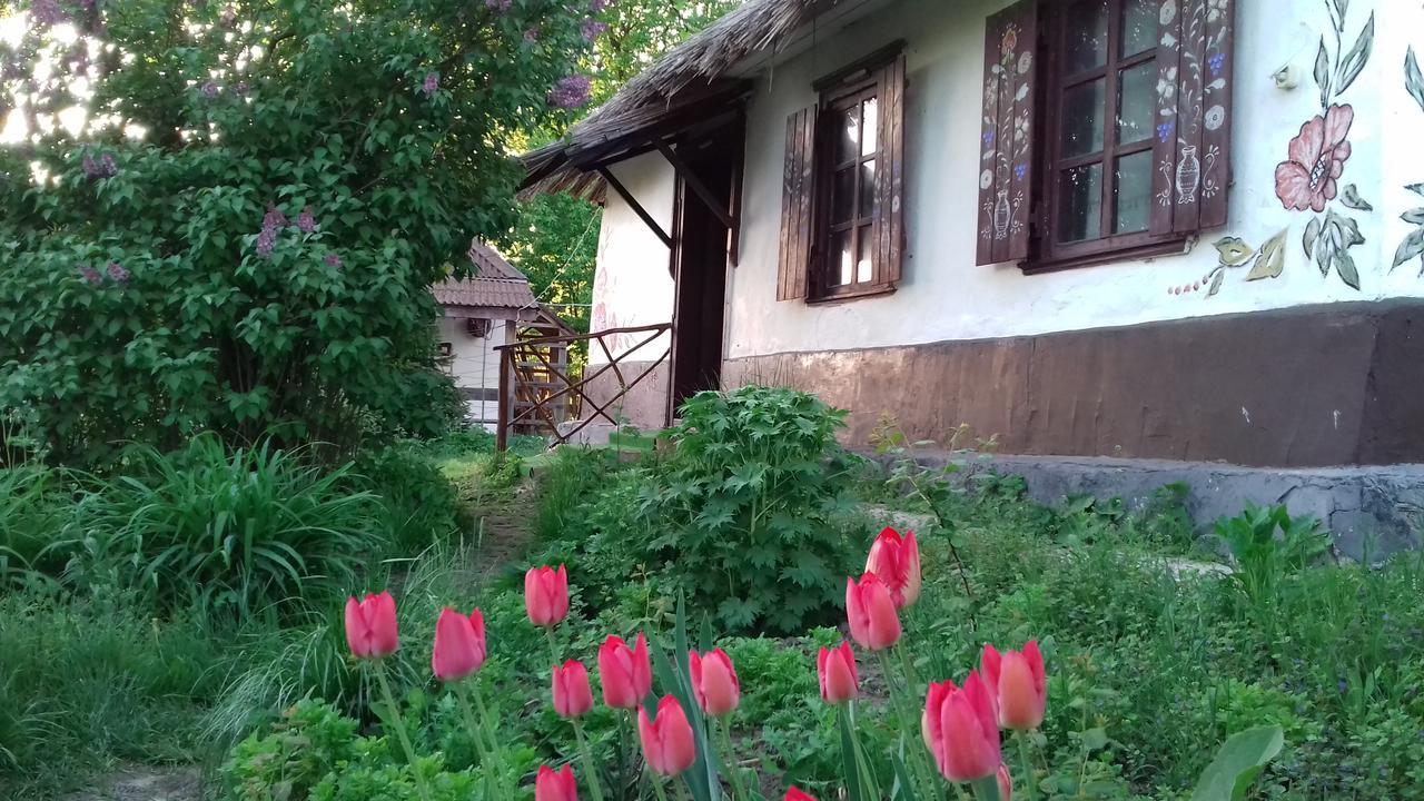 Koryakivskyi Rai Casa de hóspedes Dmitrenki Exterior foto