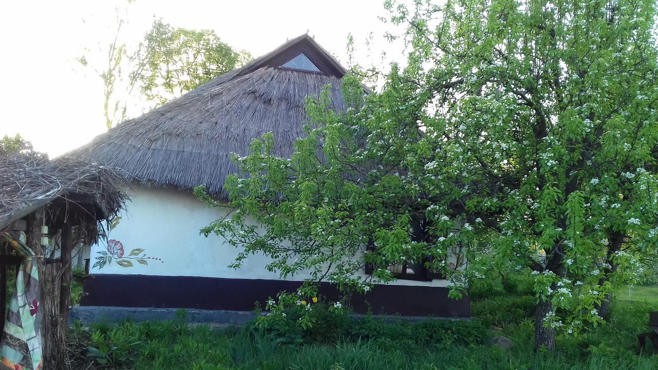 Koryakivskyi Rai Casa de hóspedes Dmitrenki Exterior foto