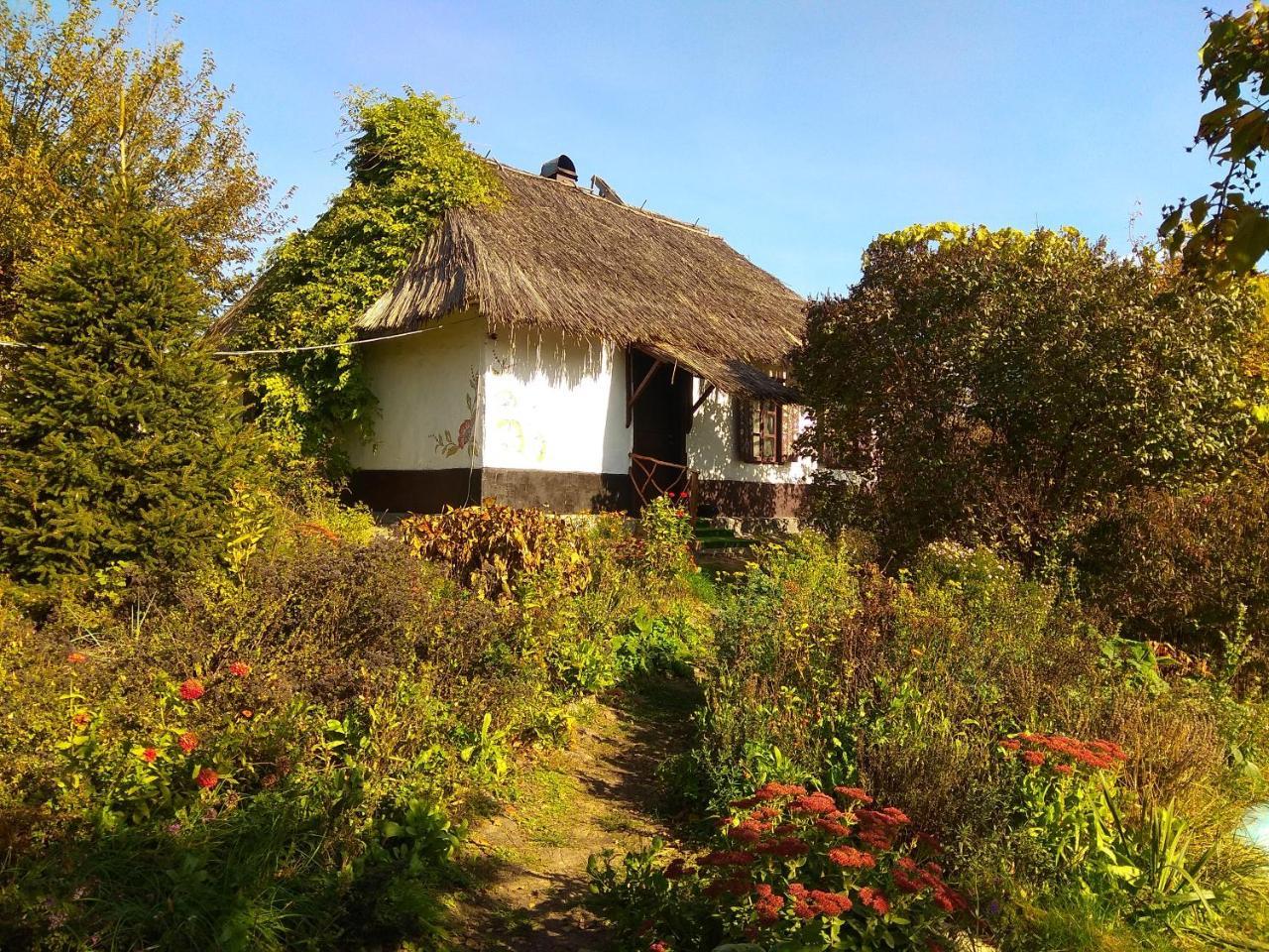 Koryakivskyi Rai Casa de hóspedes Dmitrenki Exterior foto